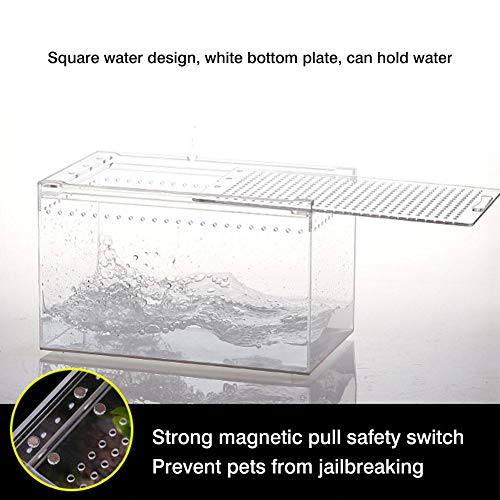 Seasaleshop Insectenterrarium transportbox | acryl voederbox | terrarium box voor insecten vogelspinnen amfibieën rupsen… - Afbeelding 7
