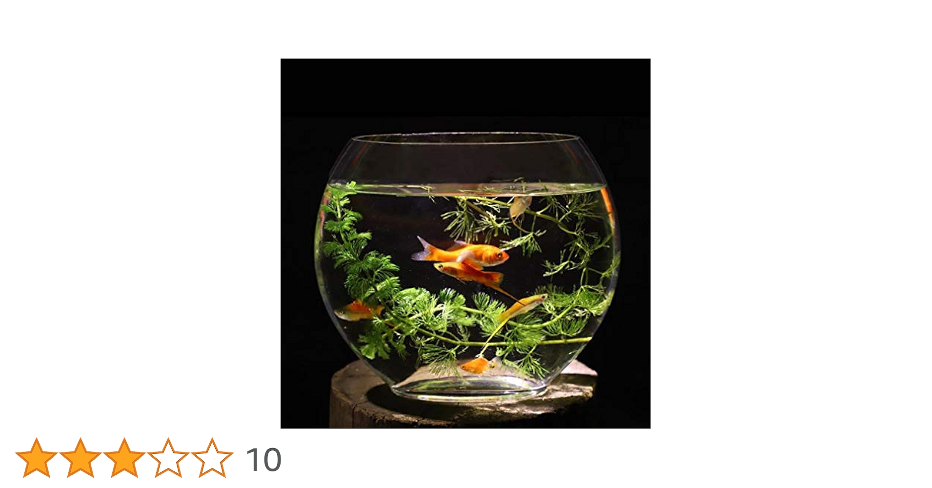 【新入荷】フィッシュボール(天然木ガラス)2個口 (L)ツインタワー Amazon | 水槽平口ガラス金魚タンクオーバルウルトラホワイト