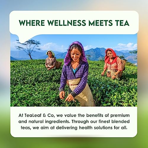Image of Tealeaf & Co. Classic Green Tea Loose Leaf - 100% Organic Green Tea - Contains Low Caffeine - Upto 50 Servings - Gluten Free (3.52oz /100gm)