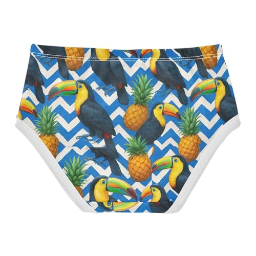 Joisal Cotton Toddlers Underwear Floral Toucans Pineapples Blue White Zigzag Panties for Girl Designer Kids Undies Briefs 2t2
