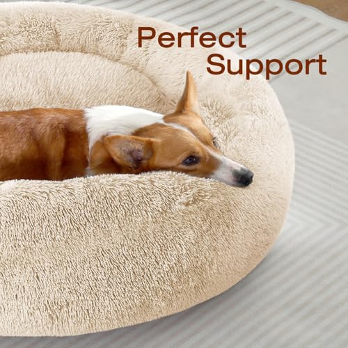 Image of JOLLYVOGUE Dog Bed, Calming Anti-Anxiety Large Dog Bed, Fluffy Donut Cushion for Medium and Large Pets (27 inch /30 inch /36 inch)