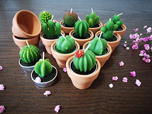 Succulent Candles, Novelty Cactus Tealight Candle Baby Shower Candle Decorations For Party Favors Terrarium Cacti Candels Home Decor… #TOP7