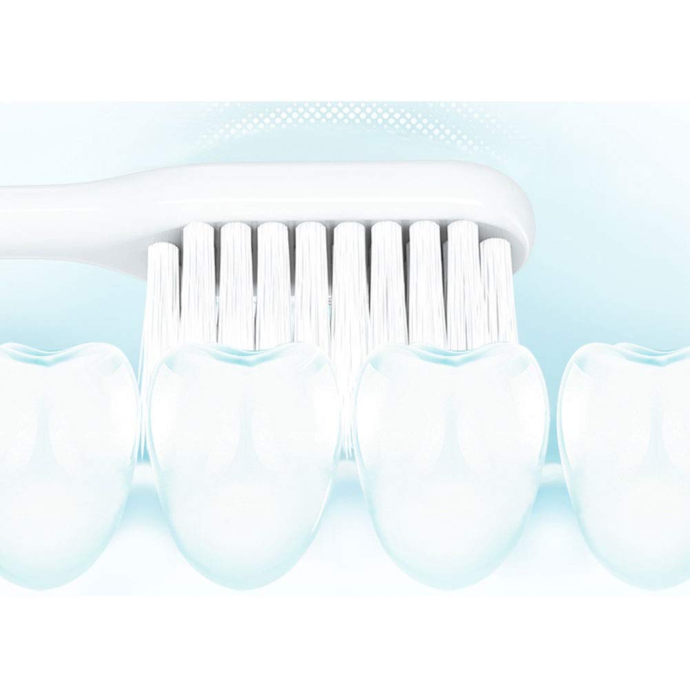 ZUMAHA Spazzolino da Denti con Design a Testina Piccola, spazzolini Ultra Morbidi per Adulti, Gravidanza e Bambino, Confezione da 12 spazzolini manuali da Viaggio