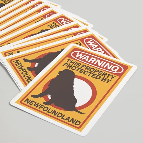 Lantern Press naipes poker 52 cartas para adultos miniatura 5