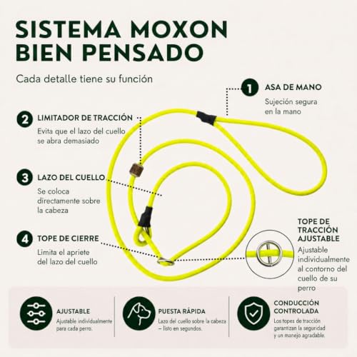 Correa ajustable para adiestramiento Romneys Moxon-Leine Biothane impermeable y resistente 3