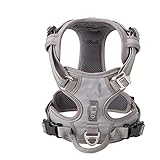  Harnais réfléchissant pour chien en nylon sans tension réglable de taille moyenne et grande - Laisse de sécurité pour la marche et la course à pied - Gris