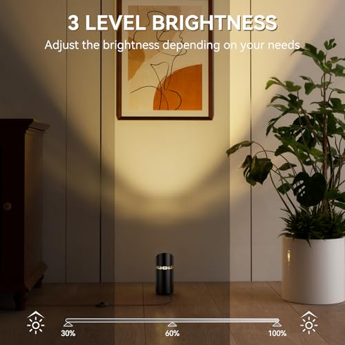 Image of 2 Pack Uplights Indoor Multicolor Floor Can Lights, Black