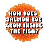 How Does Salmon Roe Grow Inside the Fish?