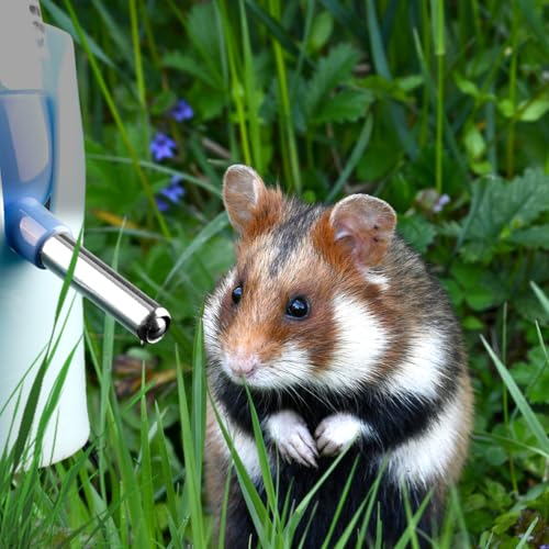 Lotsdonxia Blue Hamster Water Bottle – Stainless Steel Automatic Pet Feeder & Dispenser for Small Animals Guinea Pigs, Rabbits, Gerbils, Chinchillas (80ml) - Image 4