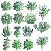 FEPITO 15 Pcs Artificial Succulent Plants Green Unpotted Faux Flower Succulents Mini Echeveria Picks Bulk Stems for Home Indoor Fairy Garden Decorations