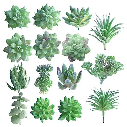 FEPITO 15 piezas artificiales plantas suculentas verde sin manchas Faux Flower Succulents Mini Echeveria selecciones a granel tallos para el hogar decoración interior de hadas del jardín