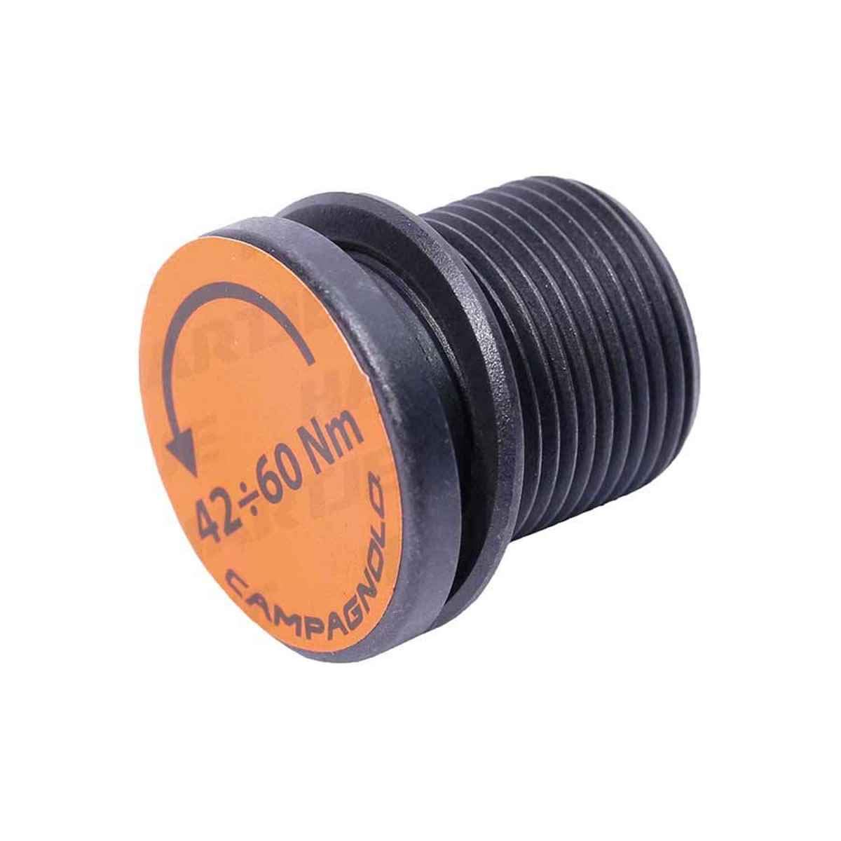 CampagnoloFC-SR008 TI 12S Ultra-Torque Crank Bolt - FC-SR008