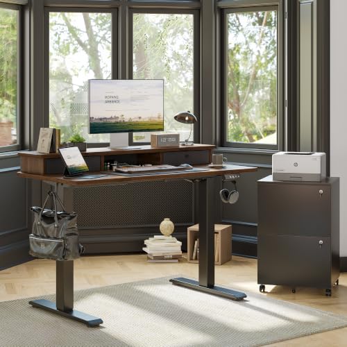 Image of TIQLAB 48 * 24 inch Standing Desk with Two Drawers&Top Shelf, Black Walnut