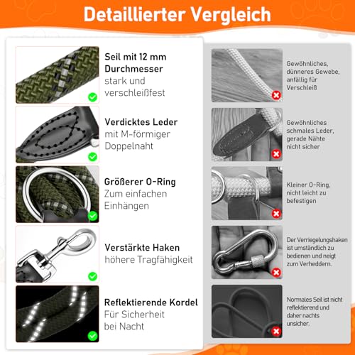 Aystkniet 3M Verstellbar Hundeleine für Große und Mittlere Hunde, Robuste Nylon Reflektierende Freihandleine mit 2 Karabiner, Vielseitig Führleine und Umhängeleine mit 250kg Zugkraft, Grün 12mm