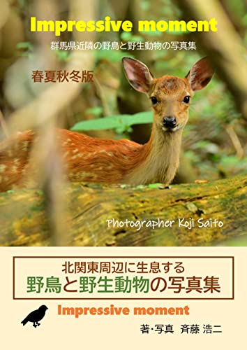 Impressive moment 群馬県近隣の野鳥と野生動物の写真集