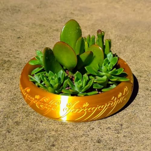 One Ring Succulent Planter Decor, Cacti & Bonsai Planter & Catchall, Unique Ring Jar Gift for Fans