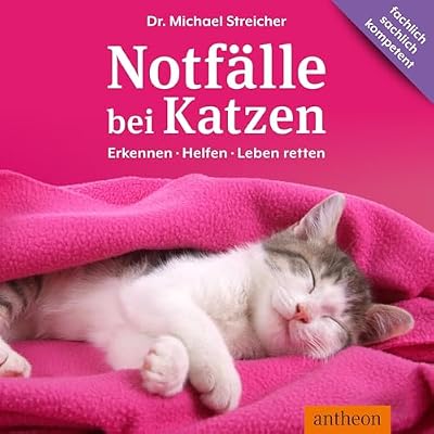 Notf&auml;lle bei Katzen