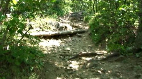 Virtual Hiking on Sharp Top Mountain, Va. Exercise DVD