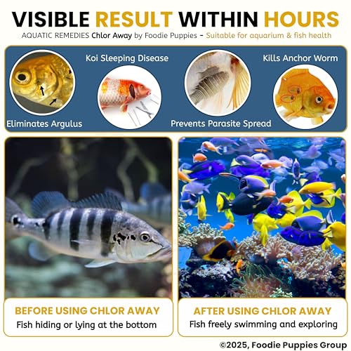 Image of Foodie Puppies Aquatic Remedies Chlor Away - 100ml (Pack of 2) | Suitable for Fresh Water and Salt Water | Chlorine and Chloramine Remover | Aquarium Water Conditioner, with Free Key Ring