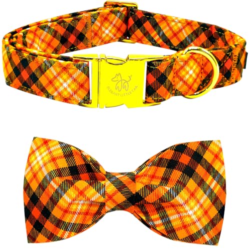 Collier pour chien de taille moyenne pour célébrer Halloween - 2