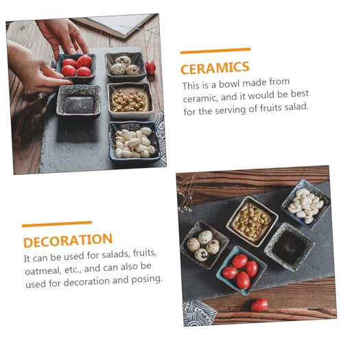 Platos de cerámica estilo japonés para sushi x5 miniatura 5