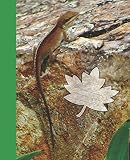  Cute Green Lizard Bright Green Trim Wide-ruled Lined School Composition Notebook (Cool Lizard Covers: Natures School Supplies)