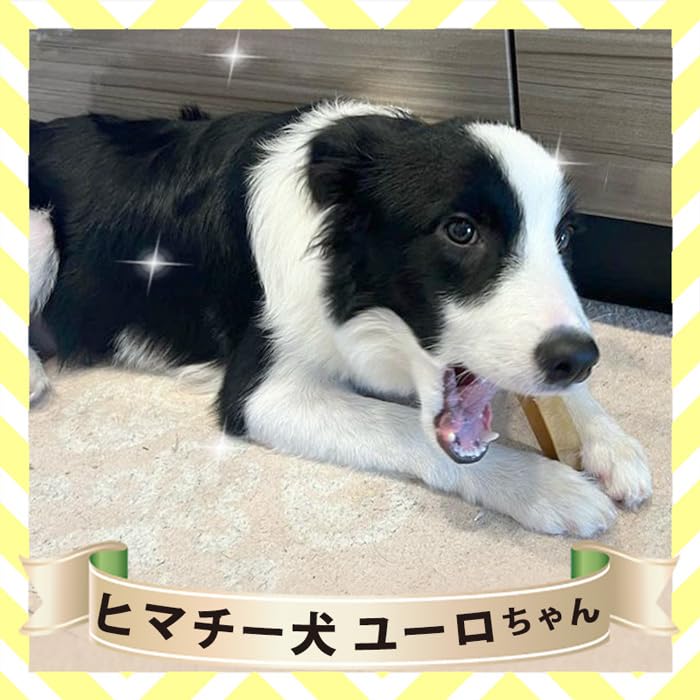 Amazon | 正規品ヒマチー Lサイズ（単品）約160g ヒマラヤチーズ
