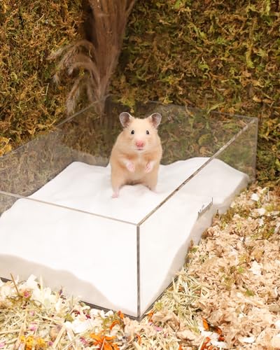 Image of Niteangel Hamster Desert Bath Sand | No-Dust Bath or Potty Litter for Hamster Chinchillas Gerbil Mice Degu or Other Small Pets (White Sand, 6LB /96oz)