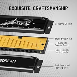 SDREAM Blues Harmonica for Adults Beginner,Professional Musicians, Students,Harmonicas key of C 10 Holes 20 Tones,Diatonic Harmonica with Case,As a Gift (Black, 10 holes blues primary) - Les Beatles, Paul McCartney, John Lennon, RIngo Starr, George Harrison SDREAM Blues Harmonica for Adults Beginner,Professional Musicians, Students,Harmonicas key of C 10 Holes 20 Tones,Diatonic Harmonica with Case,As a Gift (Black, 10 holes blues primary) – Image 2