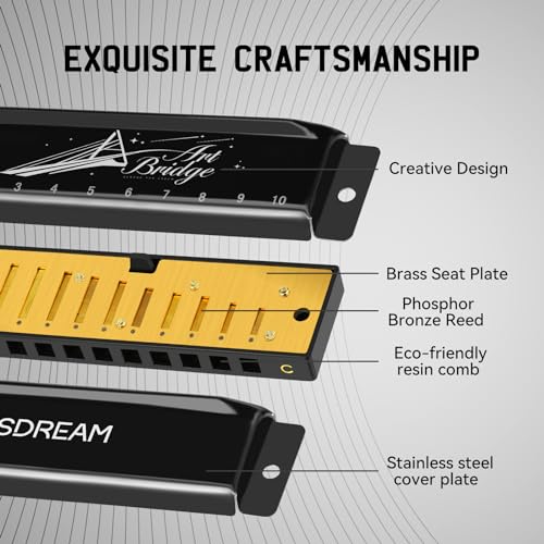 SDREAM Blues Harmonica for Adults Beginner,Professional Musicians, Students,Harmonicas key of C 10 Holes 20 Tones,Diatonic Harmonica with Case,As a Gift (Black, 10 holes blues primary) - Les Beatles, Paul McCartney, John Lennon, RIngo Starr, George Harrison SDREAM Blues Harmonica for Adults Beginner,Professional Musicians, Students,Harmonicas key of C 10 Holes 20 Tones,Diatonic Harmonica with Case,As a Gift (Black, 10 holes blues primary) – Image 3