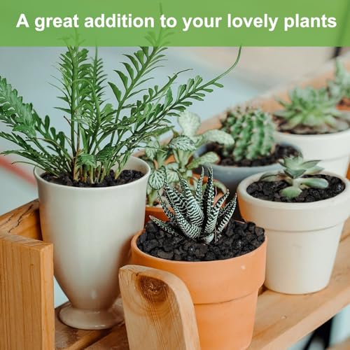 Image of 5 lbs Pebbles for Indoor Plants, Succulent, Cactus, 1 /5 Inch Small Lava Rock for Plants Drainage, Natural Horticultural Volcanic Rock, Top-Dressing