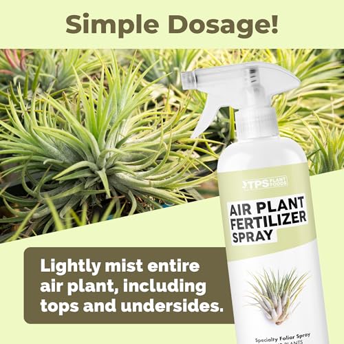 Fertilizante líquido en spray para plantas de aire 473 ml miniatura 3