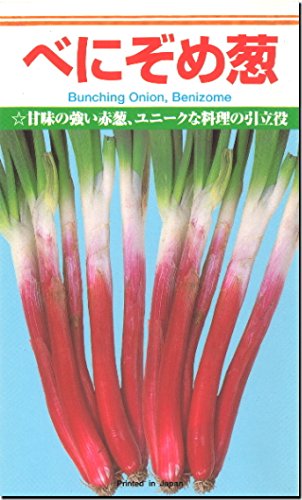 Amazon.co.jp: ネギ 種子 べにぞめ ねぎ (5.7ml) : DIY・工具・ガーデン