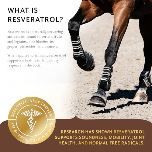 Equithrive Complete Joint Supplement Pellets with Resveratrol, Glucosamine, Chondroitin, Hyaluronic Acid and MSM for Horses, 1.65 lbs - Image 5