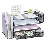 Pygocereri Schreibtisch Organizer mit Aktenhalter, 4 Ebenen Büro Organizer mit Schublade und 2 Stifthaltern, Mesh Papierablage mit Zeitschriftenhalter, Schreibtisch Ablage für Bürobedarf (Schwarz)