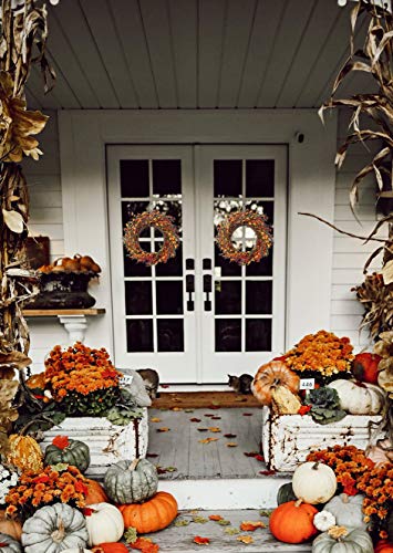 Neol'artes 24Inch Large Country Fall Berry Grapevine Wreaths With Grass And Leaves Rustic Wreath For Front Door Harvest Thanksgiving Decor (Orange) #TOP2