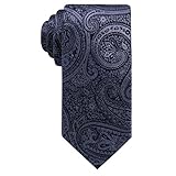 Ryan Seacrest Distinction Mens Gardenia Silk Business Neck Tie Navy O/S