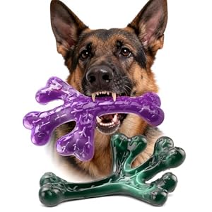 Dog Toys for Aggressive Chewers: 2 Pack Dog Toys Indestructible for Medium Large Dogs, Dog Chew Toys for Boredom & Teeth Cleaning, Durable Tough Dog Toy to Keep Them Busy, Real Beef Flavour