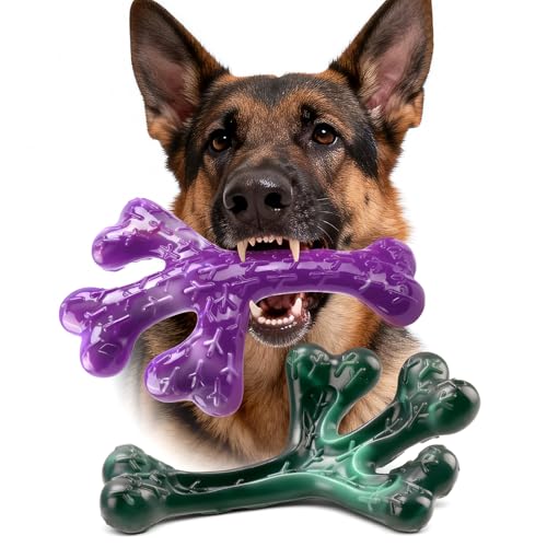 Chienbox Juguete Perro Indestructible para Masticadores Agresivos: 2 Piezas Juguetes para Perros Medianos y Grandes, Juguete Perro de Nylon, Juguetes Perros Grande para Entrenamiento y Limpieza Dental