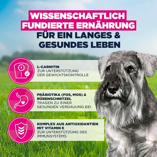 Eukanuba Senior Hundefutter mit frischem Huhn für kleine Rassen, Premium Trockenfutter für ältere Hunde, 3 kg