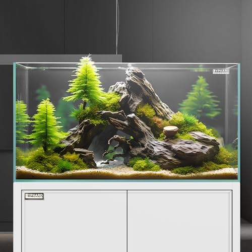 Image of LYPHARD AQUARIUMS 21 Gallon Rimless Aquarium Tall Tank, Ultra Clear Low Iron Big Fish Tank, L15.8xW15.8xH19.7 Glass Thickness 6mm with EVA Foam Leveling Mat