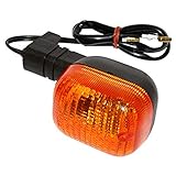 Freccia posteriore sinistra Vicma Indicator Light Assy Front Right/Rear Left Right for Benelli, Italjet, Malaguti, DAELIM