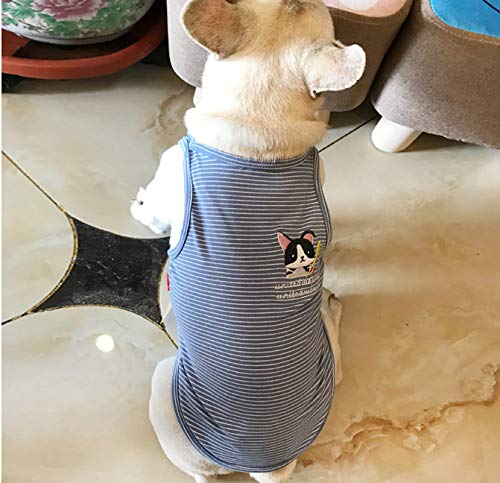 Amazon | 愛犬とお揃い Tシャツ 犬服 犬とおそろい お散歩 ドッグ