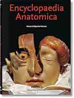 スペゴラ博物館人体解剖模型　Encyclopaedia Anatomica Encyclopaedia Anatomica (Bibliotheca Universalis): Düring