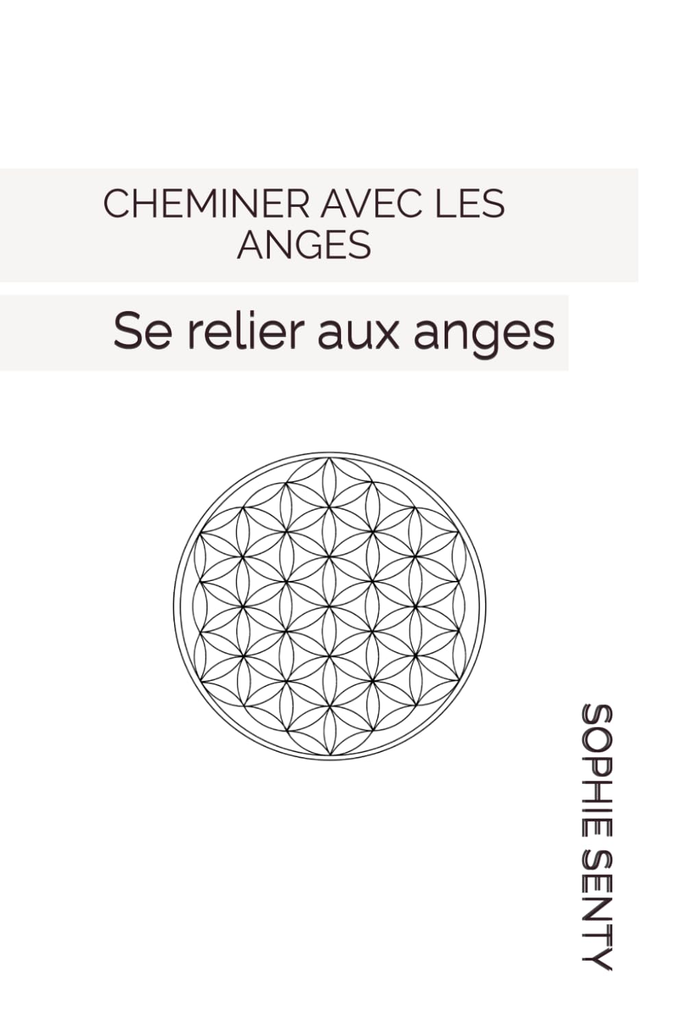 CHEMINER AVEC LES ANGES: Guide pratique (Le chemin de la lumière)