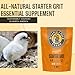 Scratch and Peck Starter Grit Supplement for Chickens and Ducks - 7 lbs Bag - Essential Supplement for Gizzard and Digestive Health - Sustainably Sourced