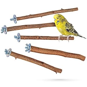 5 prachtige natuurlijke zitstokken voor vogels zoals grasparkiet, valkparkiet, kanarie, dwergpapegaaien, natuurlijke…