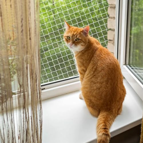 Fensterschutz für Katzen – Qilucky Polyesterfaser Katzenschutznetz