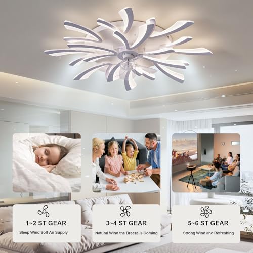 Ventilateur de plafond pour salon avec éclairage LED dimmable et moteur CC