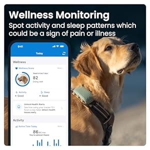 Tractive XL GPS Tracker & Health Monitoring for Dogs (50 lbs+) – Market Leading Pet GPS Location Tracker | Wellness & Escape Alerts | Waterproof | Works with Any Collar (Green)